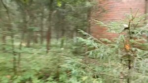 Нашёл заброшенную водонапорную башню в лесу 💥🔥