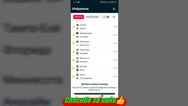 Тампа-Бэй - Флорида / Калгари - Вегас | Прогноз на матчи ? смотреть онлайн