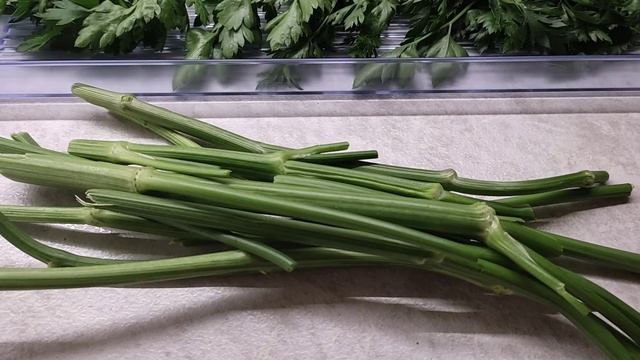 Прошлогодняя петрушка выросла в начале лета 2в1 смотреть онлайн