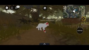 Как играть в коты-воители?|Roblox| How to play warrior cats?
