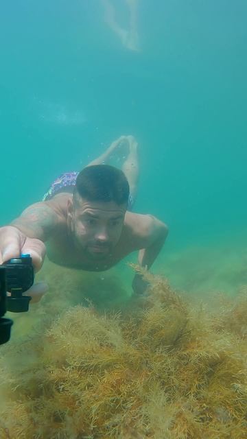 Крым подводная съемка. Кастрополь дикий пляж сегодня #кастрополь #отдыхвкрыму #крым смотреть онлайн