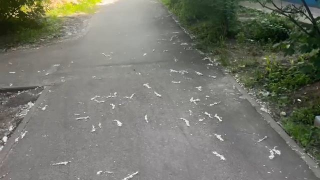 Асфальт и Облака: Горизонт Зовёт смотреть онлайн