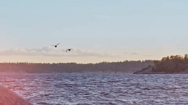 Парфюмерная вода .SE Swedish Experience Wild Hearts