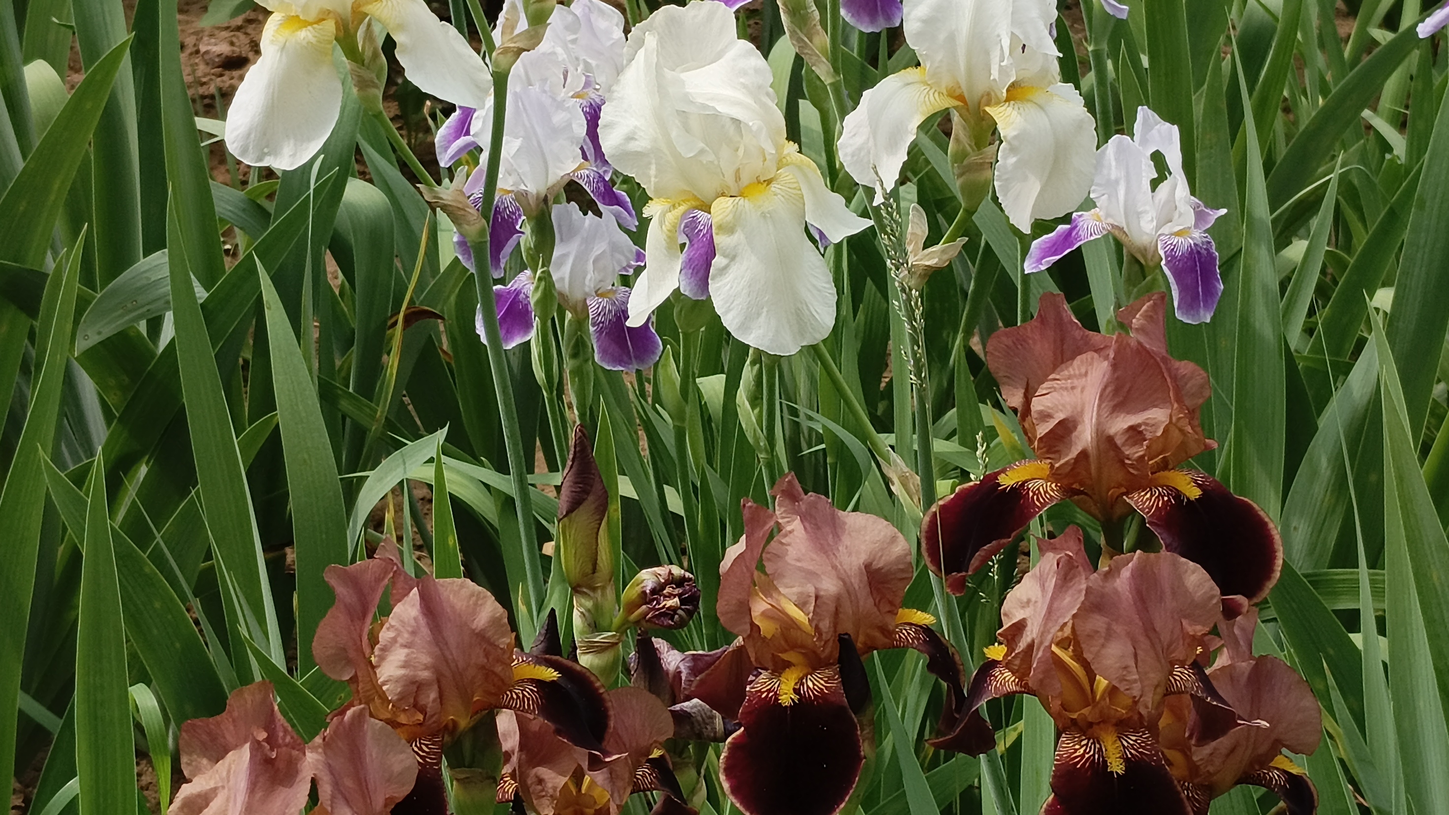 09-06-2025💥Влог💥понедельник смотреть онлайн