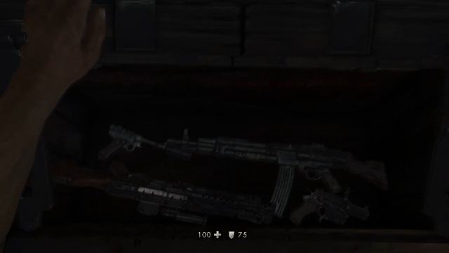 Как я прошел все ЗУМЕРСКИЕ части WOLFENSTEIN