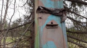 Отличные находки на новых местах.