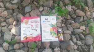 Уход за растениями лечение