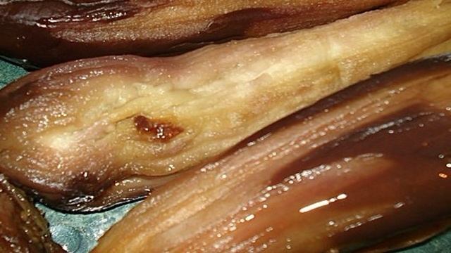 Сборник рецептов