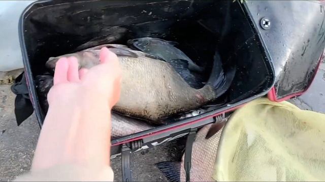 Сенеж,Тимоново. смотреть онлайн