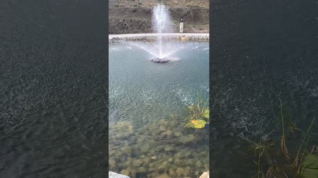 Новый Херсонес