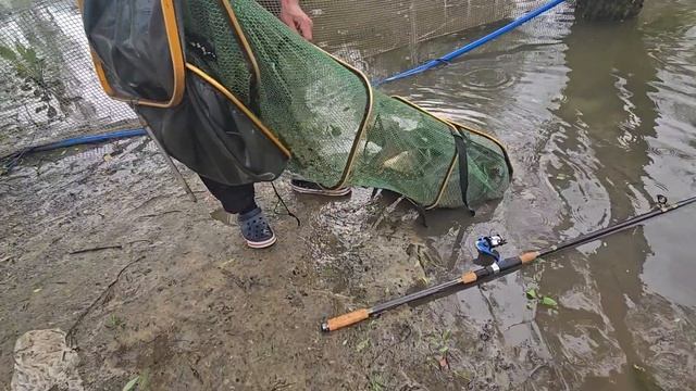 09.06.25 г. Парк отдыха водопад смотреть онлайн