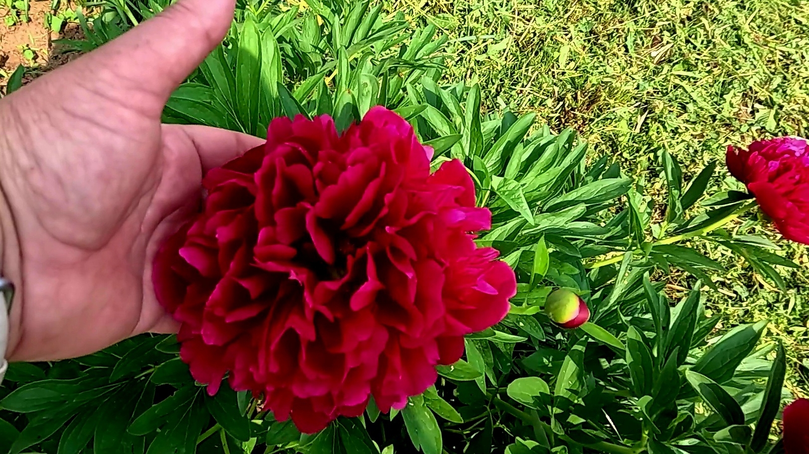 Что-то я не в себе с утра... Красота неописуемая. смотреть онлайн