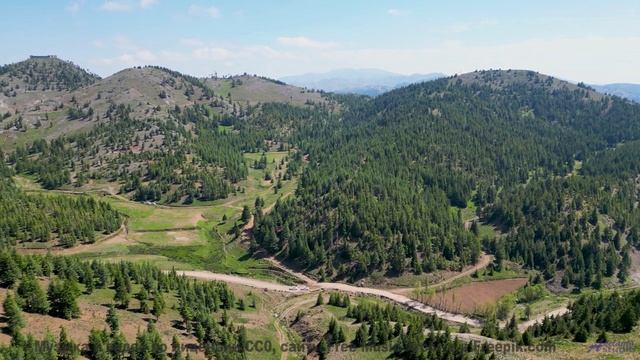 Пейзажи двигаются в ритме чистой свободы - Chainlink Melody -- Podington Bear -- Said Lion To Lamb (