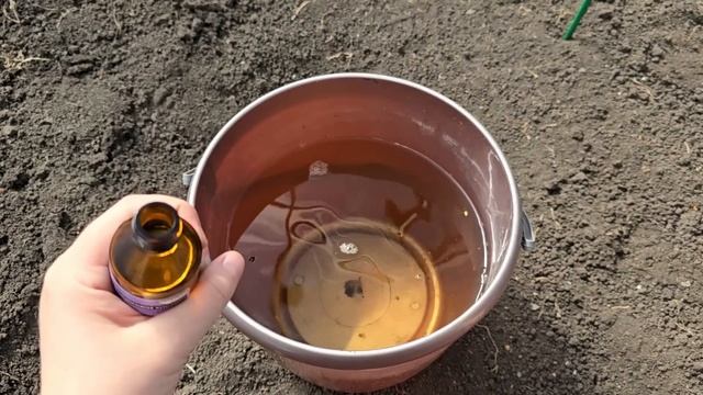 1 ложку на ведро воды и земля как новая, здоровая, плодо смотреть онлайн