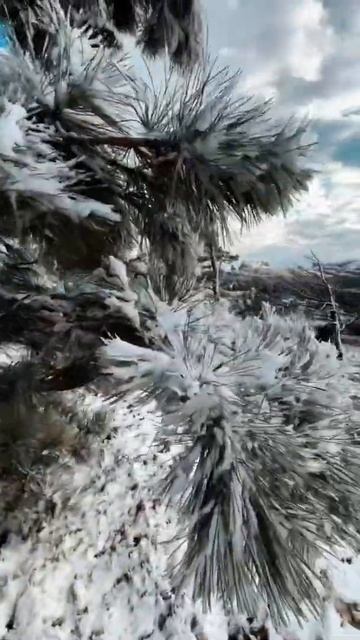 Жесть это Крым осенью смотреть онлайн