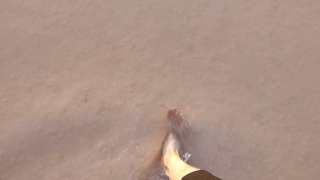 Закат и рассвет в степи. Эльтон, август 2024