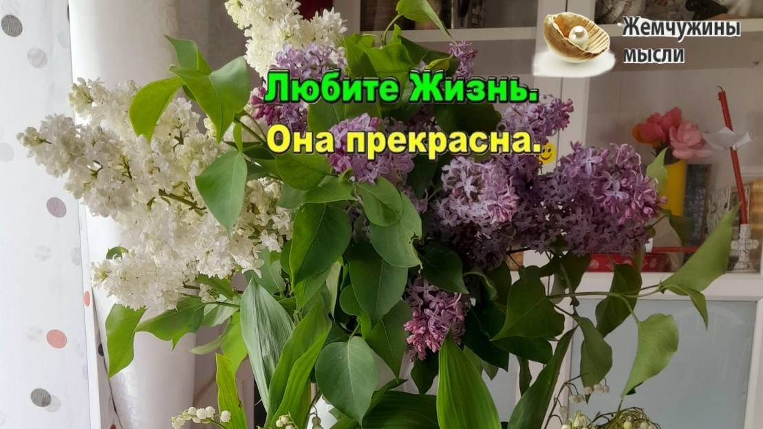 Любите жизнь, а жизнь полюбит Вас. Диалог с жизнью. #жизнь_прекрасна смотреть онлайн