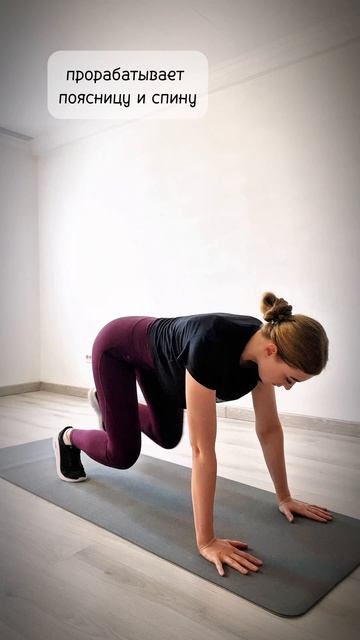 Руки, плечи, спина