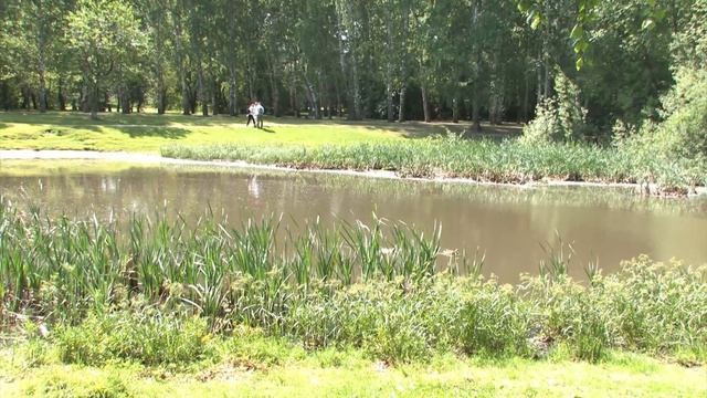 Парк 50 ЛЕТ ВЛКСМ начало благоустройства