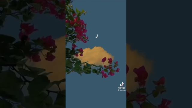 баночка с окурками- КОСМОНАВТОВ НЕТ [speed up]