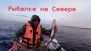 Рыбалка На Озере ЛАЧА. Ловля ЯЗЯ СУДАКА ЩУКИ. Попали в ДТП