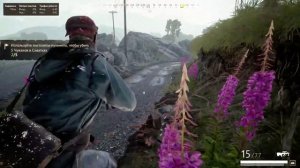 Vigor : Путь новичка в 2025 – День 1