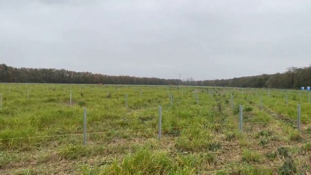 Солнечные фермы Часть 4 🇩🇪 Solar Farms Part 4🇩🇪