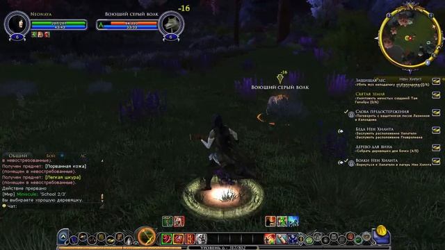 The Lord of the Rings Online - Большой, не первый взгляд