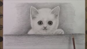 Как нарисовать кошку карандашом шаг за шагом, наше хобби рисования рисунки животных
