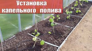 Как собрать и установить систему капельного полива, на примере системы авто полива Aqua Planet