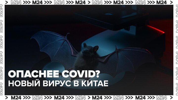 В Китае обнаружен вирус, который опаснее COVID-19 - Москва 24 смотреть онлайн