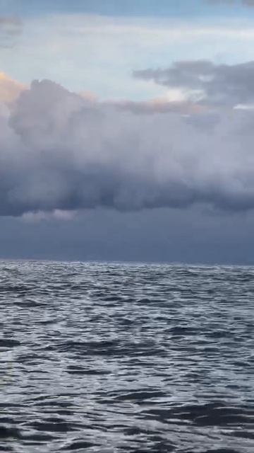 А вы увидели это? смотреть онлайн