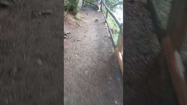 день другий,оз.Синевир,центр реабілітації ведмедів та смотреть онлайн