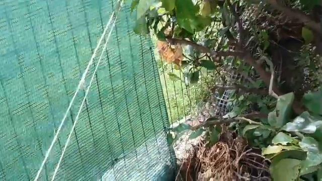 6 мая 2025 г.,огород это диагноз🤔🤣🤣🤣