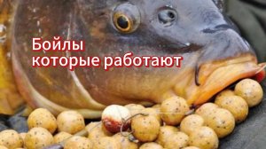 Бойлы плавающие своими руками. Бойлы которые работают