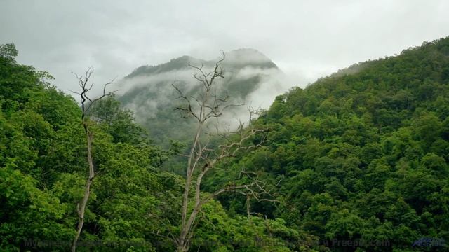 Почему сюда НЕ ЛЕТАЮТ самолёты - Archipelago Of Stars In Neurological Heavens -- Omniman -- Unnamed