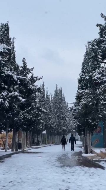 Крым Сегодня смотреть онлайн