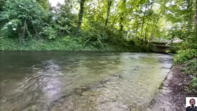 Хорошо на даче летом,если только соседи проблем не дос