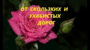 МИЛОЙ, ДОРОГОЙ КРАСИВЫЕ РОЗЫ