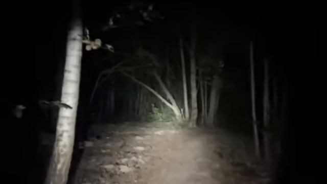 ВОЛК ВЕРНУЛСЯ В ЛЕС РАДИ МЕСТИ | The Three Little Pigs Fanmade