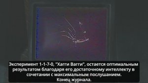 📼 ВСЕ VHS КАССЕТЫ (СУБТИТРЫ) ВСЕ 3 ГЛАВЫ - Poppy playtime Глава 1