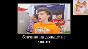 Смешное видео с животными и Владом А4🤩🎰 Не упусти момент посмотреть смешную подборку🔥💥