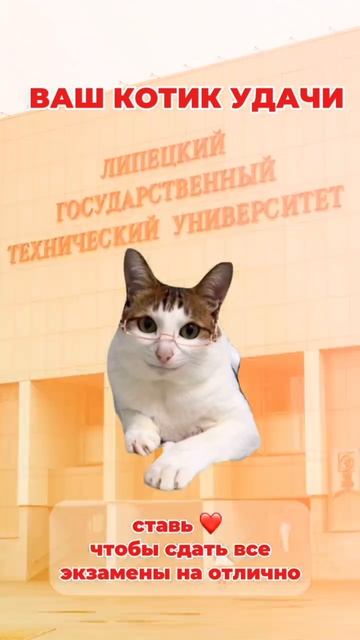 Котик удачи смотреть онлайн