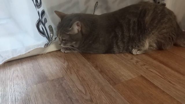 Ну всё теперь только порог разбирать 🤔