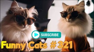Смешные коты #321