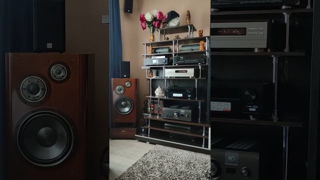 Усилитель Denon PMA A110 (7) смотреть онлайн