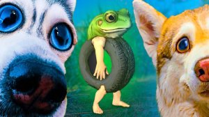 НАША КАМЕРА СНЯЛА ЖИВУЮ БОНЕКА АМБАЛАБУ на ОЗЕРЕ!! Cool Dogs Караван