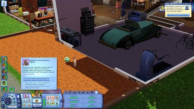 Новые члены семьи | Райские острова | The Sims 3 | # 39