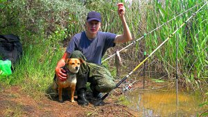 МЫ В ШОКЕ ОТ ТАКОЙ РЫБАЛКИ! РЫБАЧИМ НА ДОНКИ.