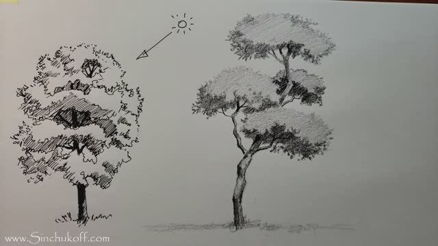 Как рисовать деревья карандашом и линером / Уроки рисования смотреть онлайн